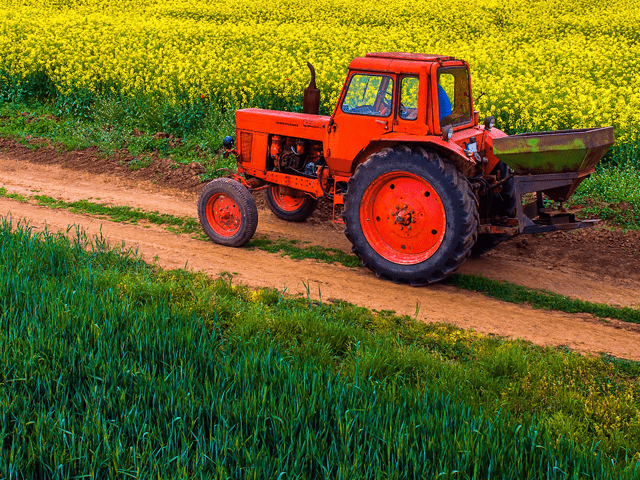 red tractor in green field